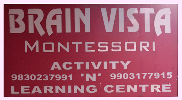 Brain Vista